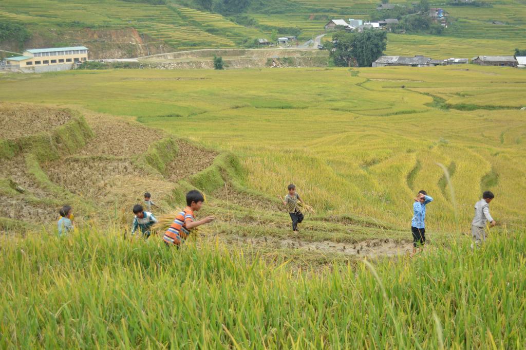 Cau May Homestay Sapa Exteriér fotografie