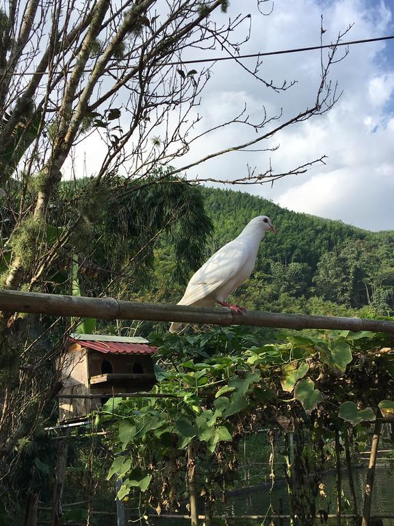 Cau May Homestay Sapa Exteriér fotografie